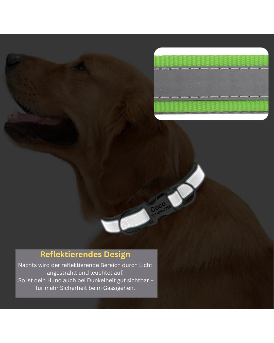 Nino - Reflektierendes Halsband Personalisiert