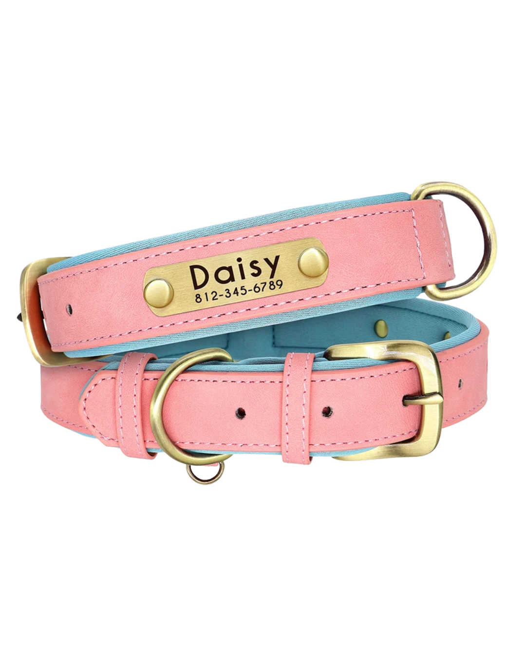 Tobi - Halsband personalisiert
