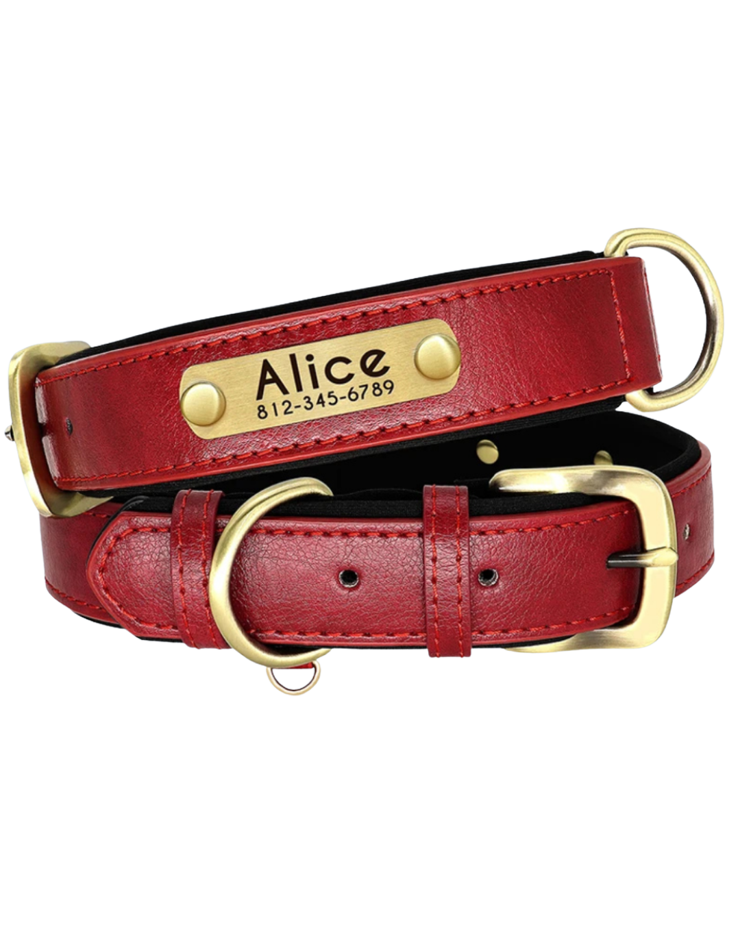 Tobi - Halsband personalisiert