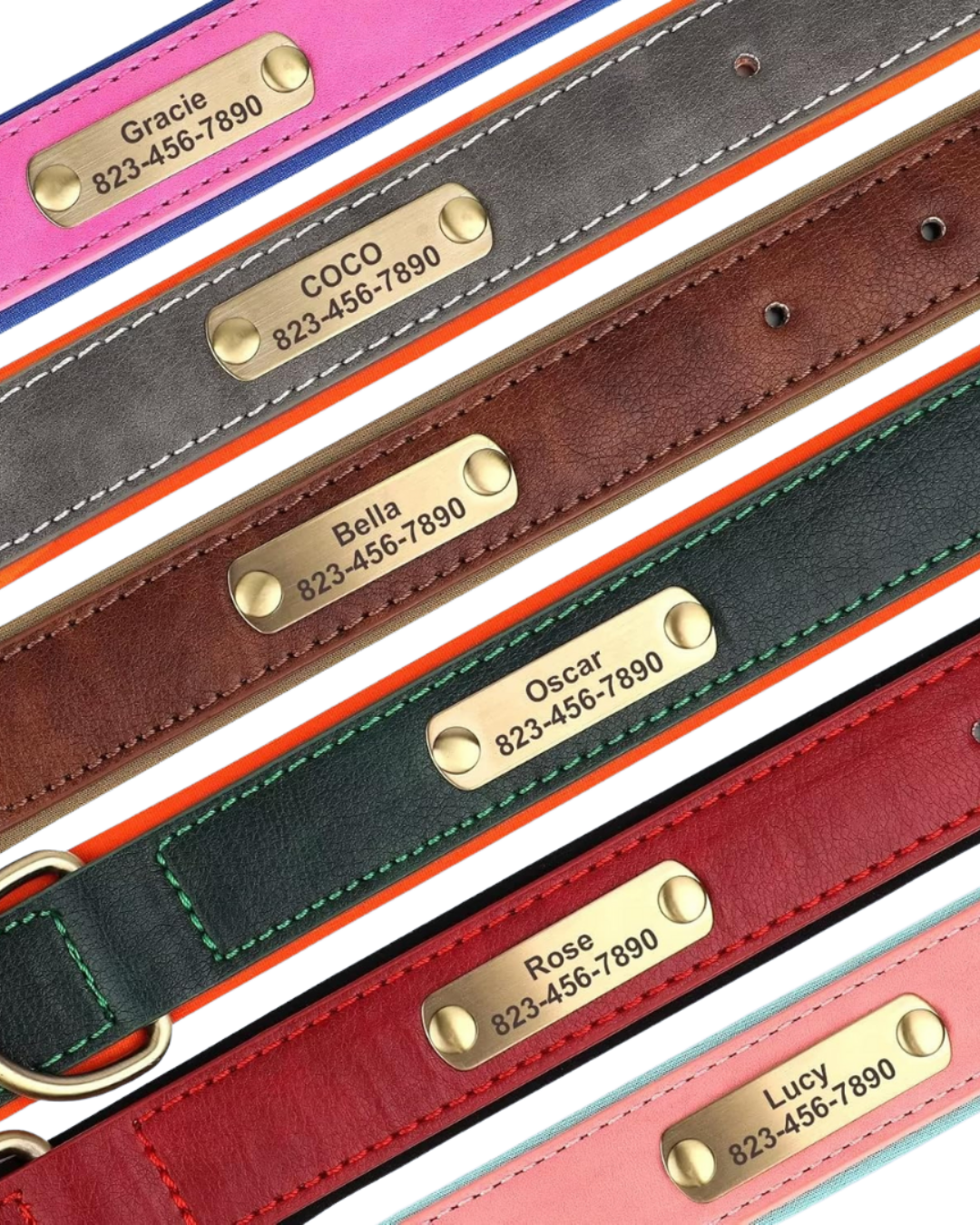 Tobi - Halsband personalisiert