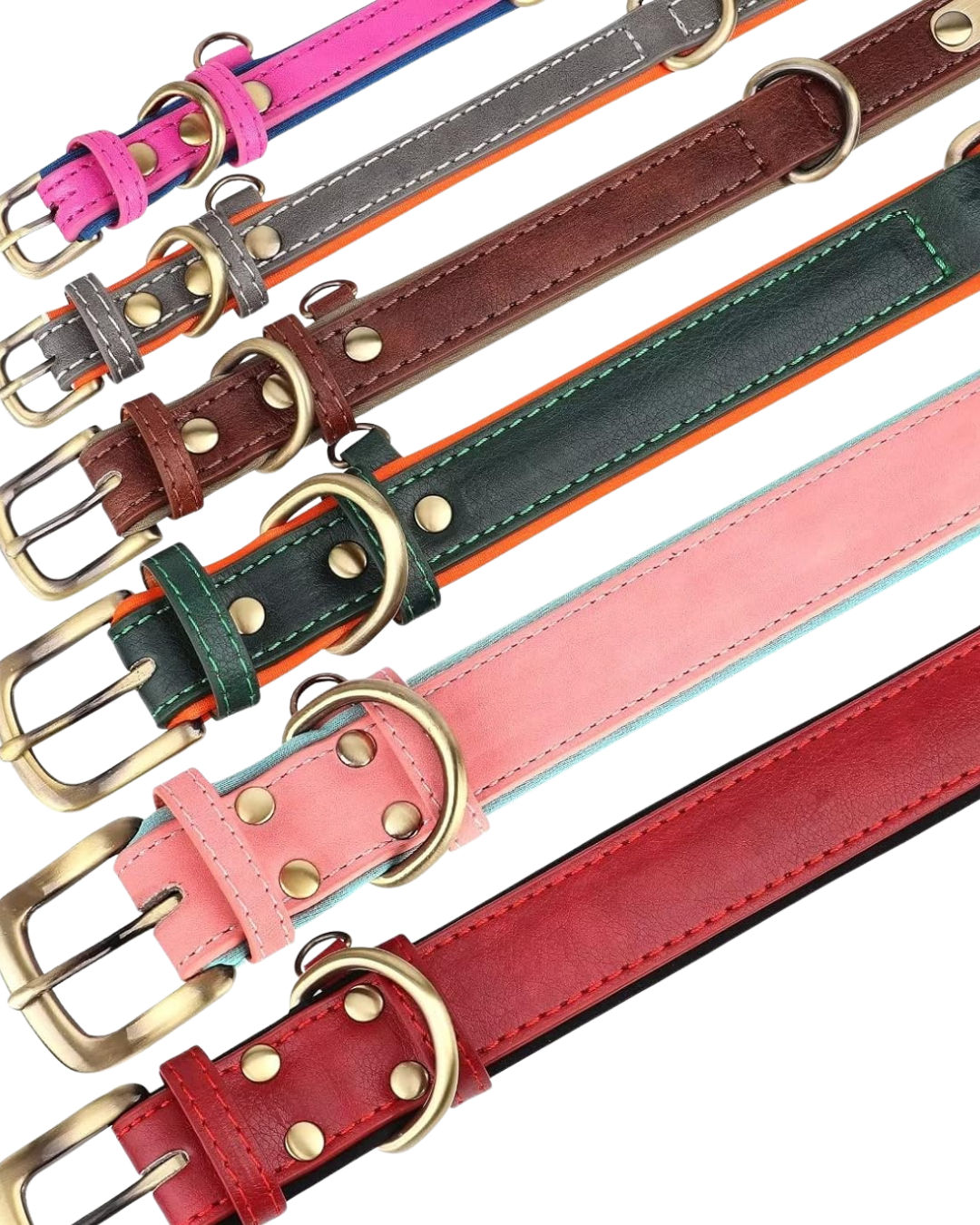 Tobi - Halsband personalisiert