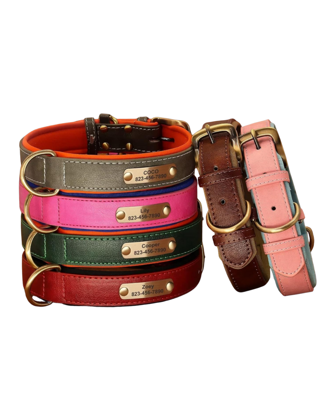 Tobi - Halsband personalisiert