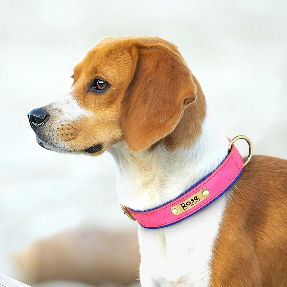 Tobi - Halsband personalisiert