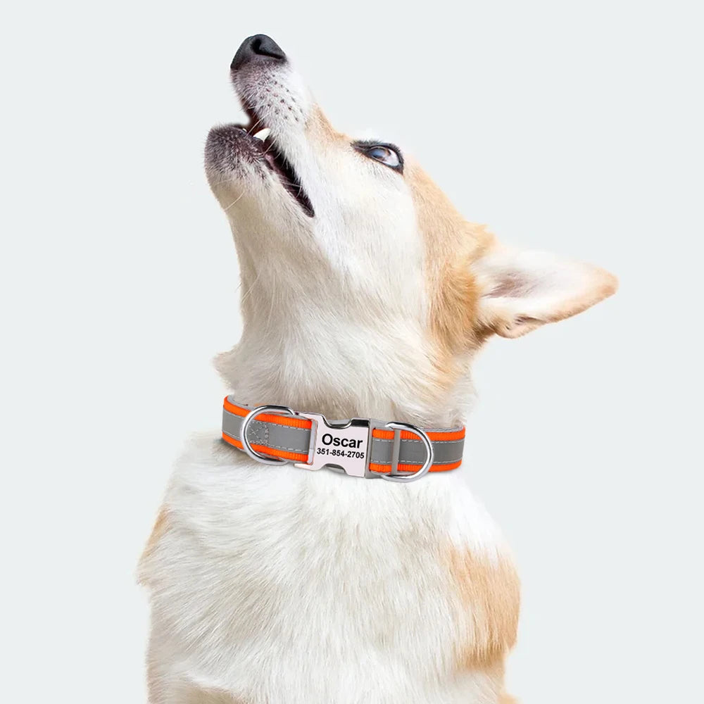 Nino - Reflektierendes Halsband Personalisiert