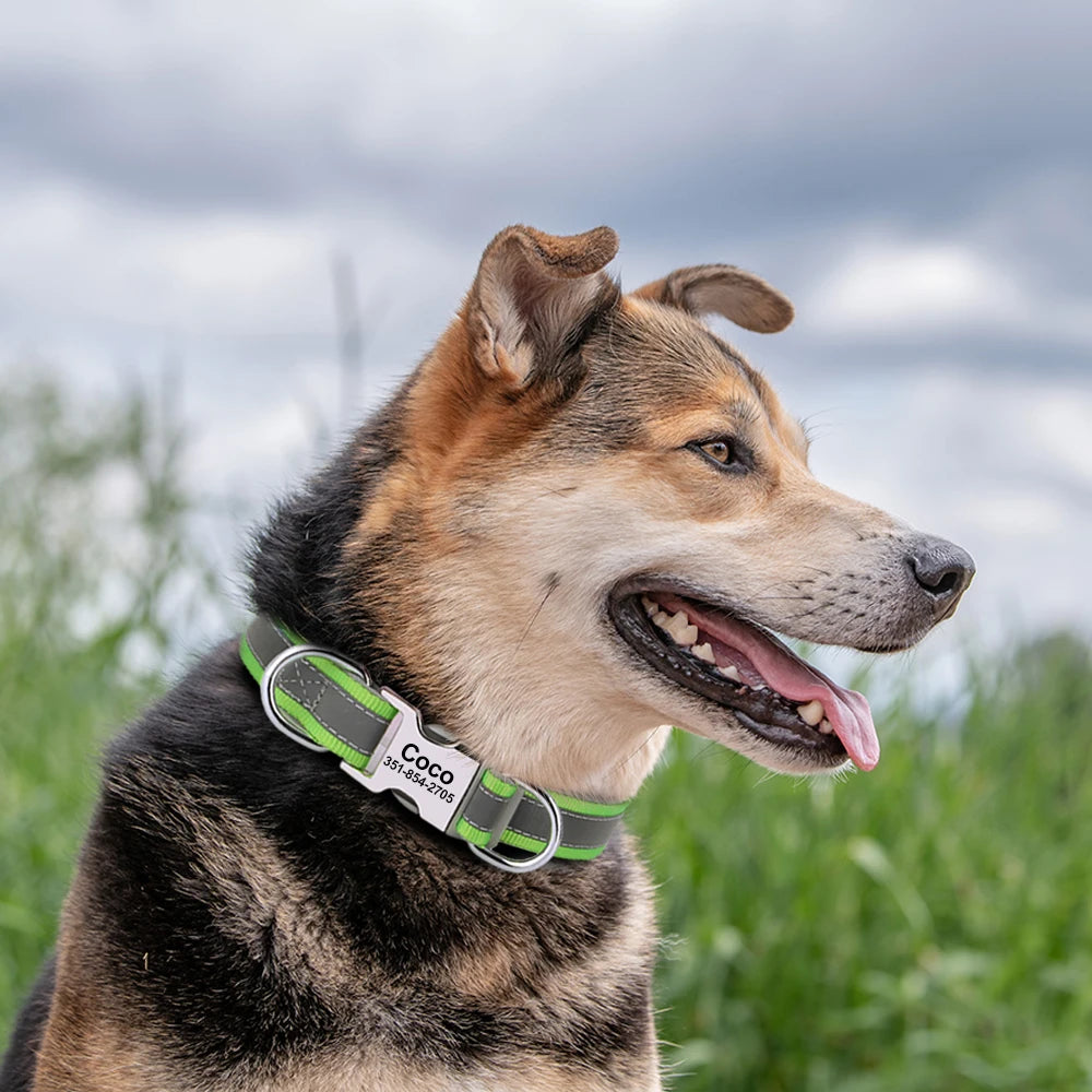 Nino - Reflektierendes Halsband Personalisiert