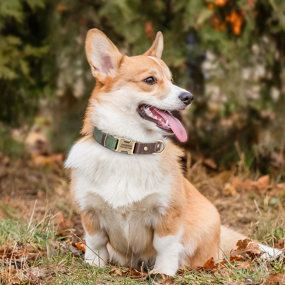 Sky - Hundehalsband Lederoptik Personalisiert