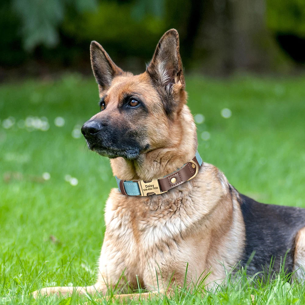 Sky - Hundehalsband Lederoptik Personalisiert