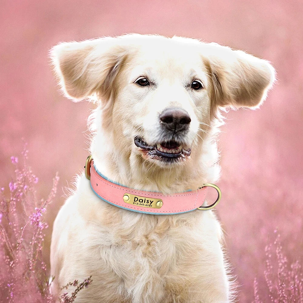 Tobi - Halsband personalisiert