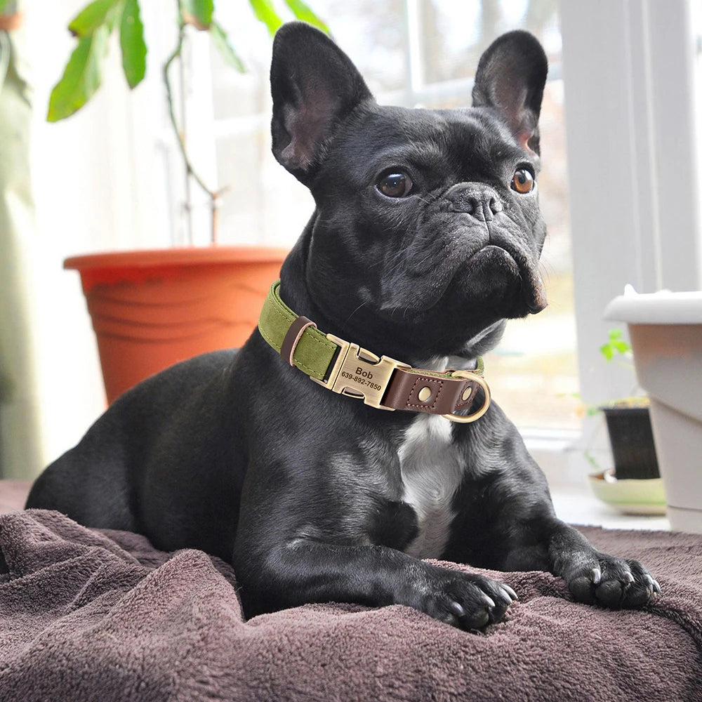 Sky - Hundehalsband Lederoptik Personalisiert