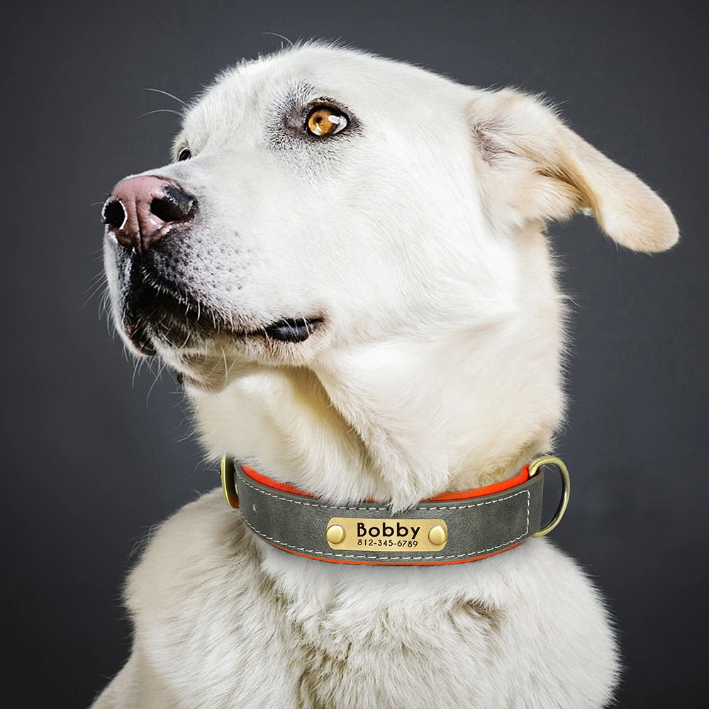 Tobi - Halsband personalisiert
