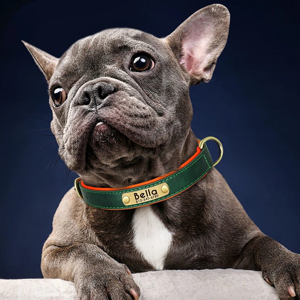 Tobi - Halsband personalisiert
