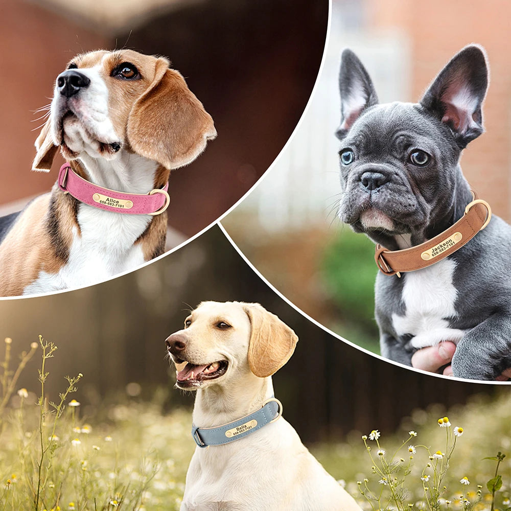 Cloud - Hundehalsband Personalisiert