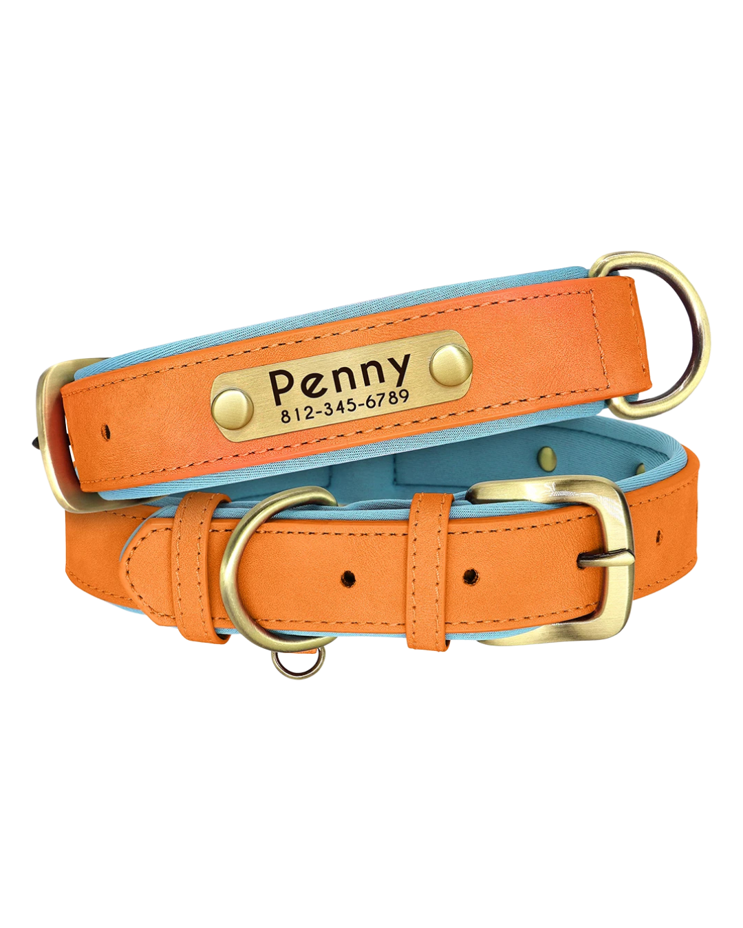 Tobi - Halsband personalisiert