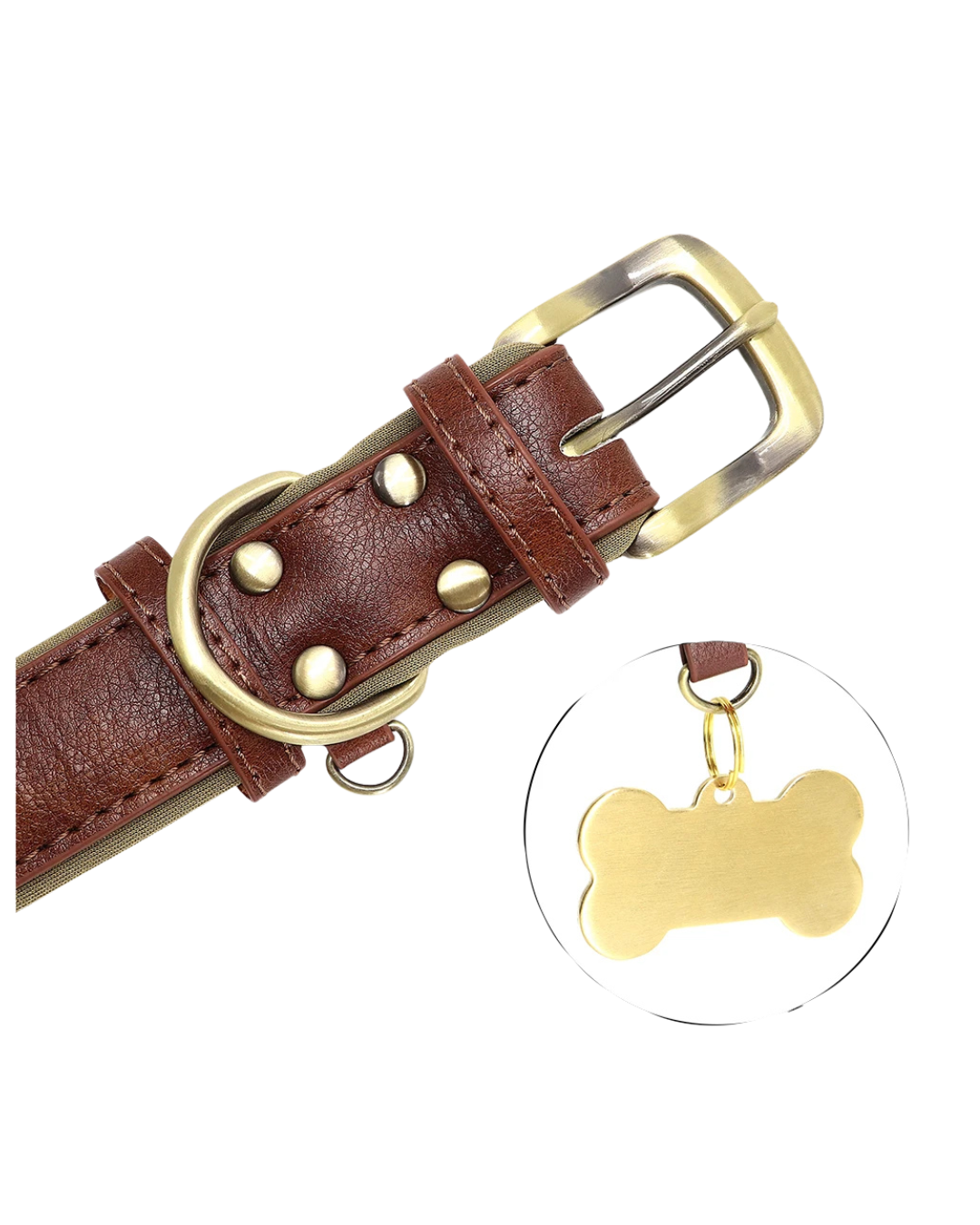 Tobi - Halsband personalisiert
