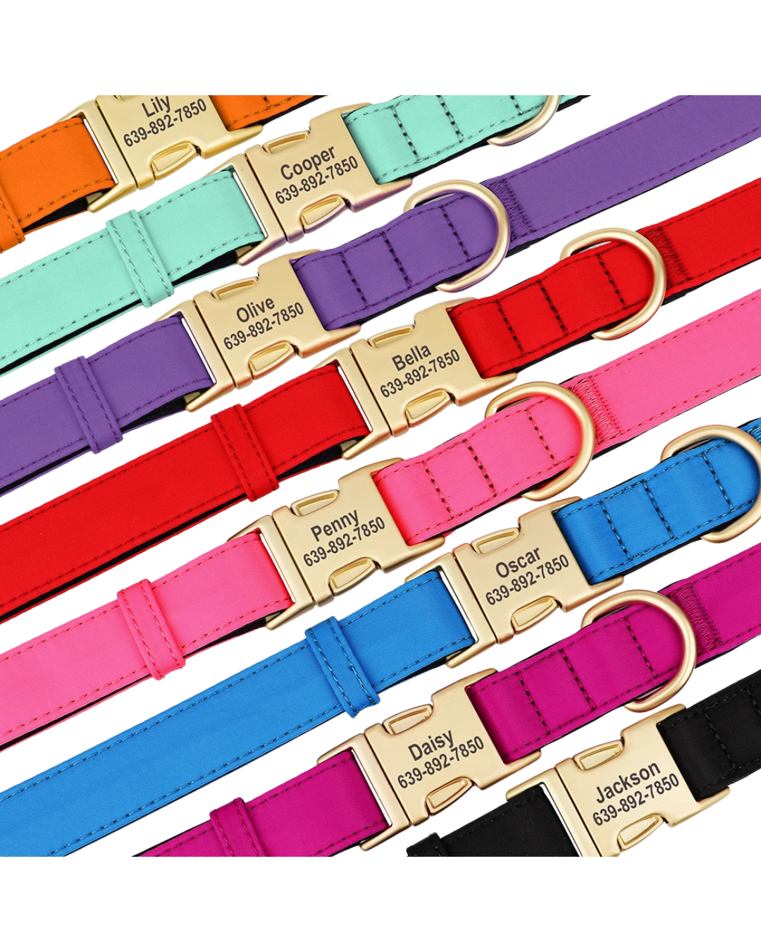Kiwi - Nylonhalsband Personalisiert