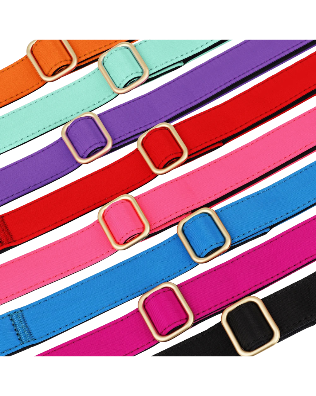 Kiwi - Nylonhalsband Personalisiert