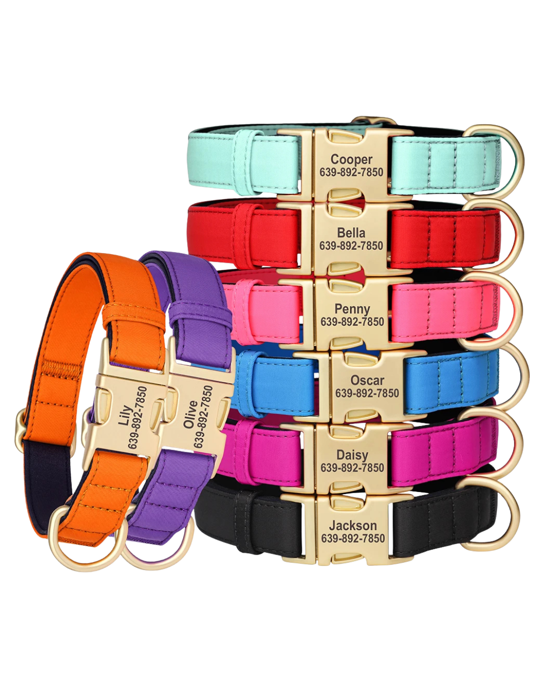 Kiwi - Nylonhalsband Personalisiert