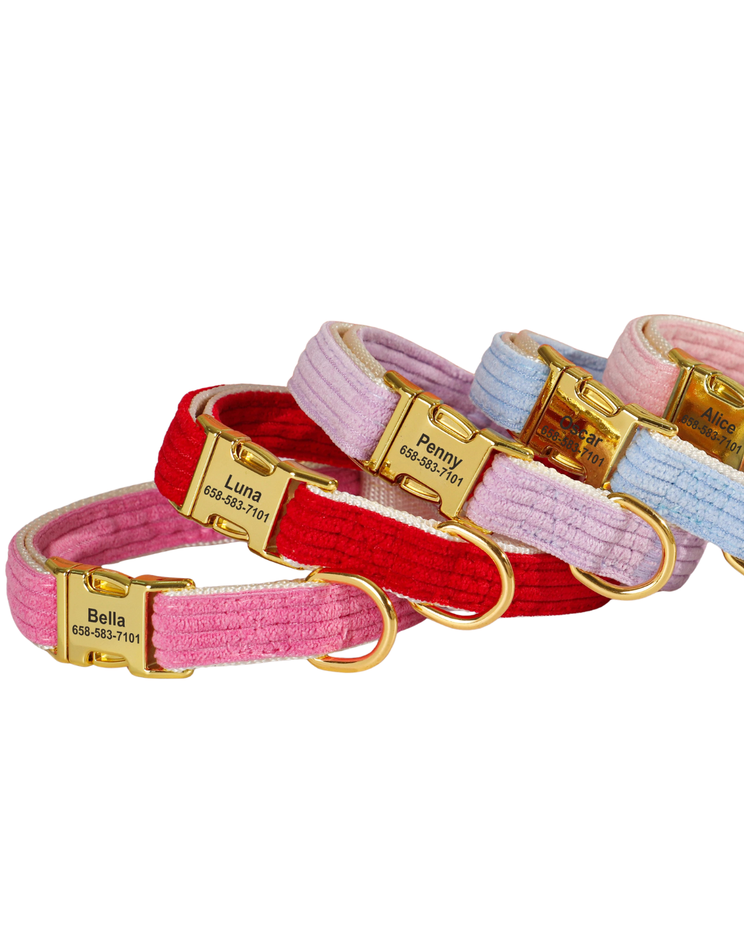 Riley - Samt Halsband Personalisierbar