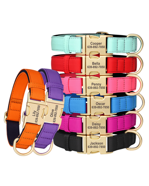Kiwi - Nylonhalsband Personalisiert