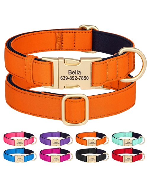 Kiwi - Nylonhalsband Personalisiert